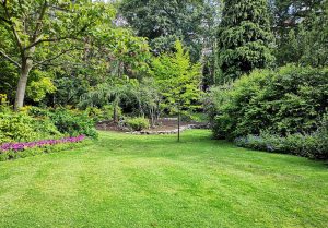 Optimiser l'expérience du jardin à Landrecourt-Lempire